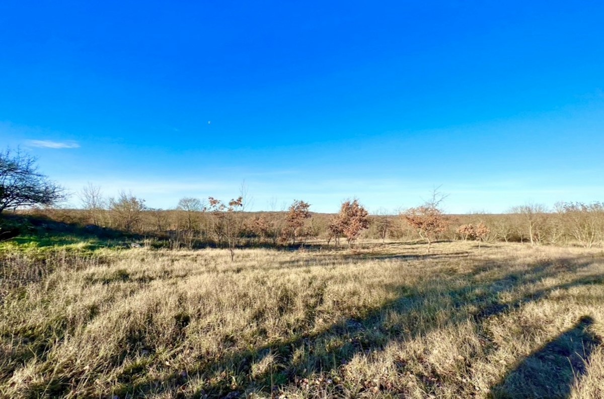 Terreno agricolo in ottima posizione, Režanci, Istria