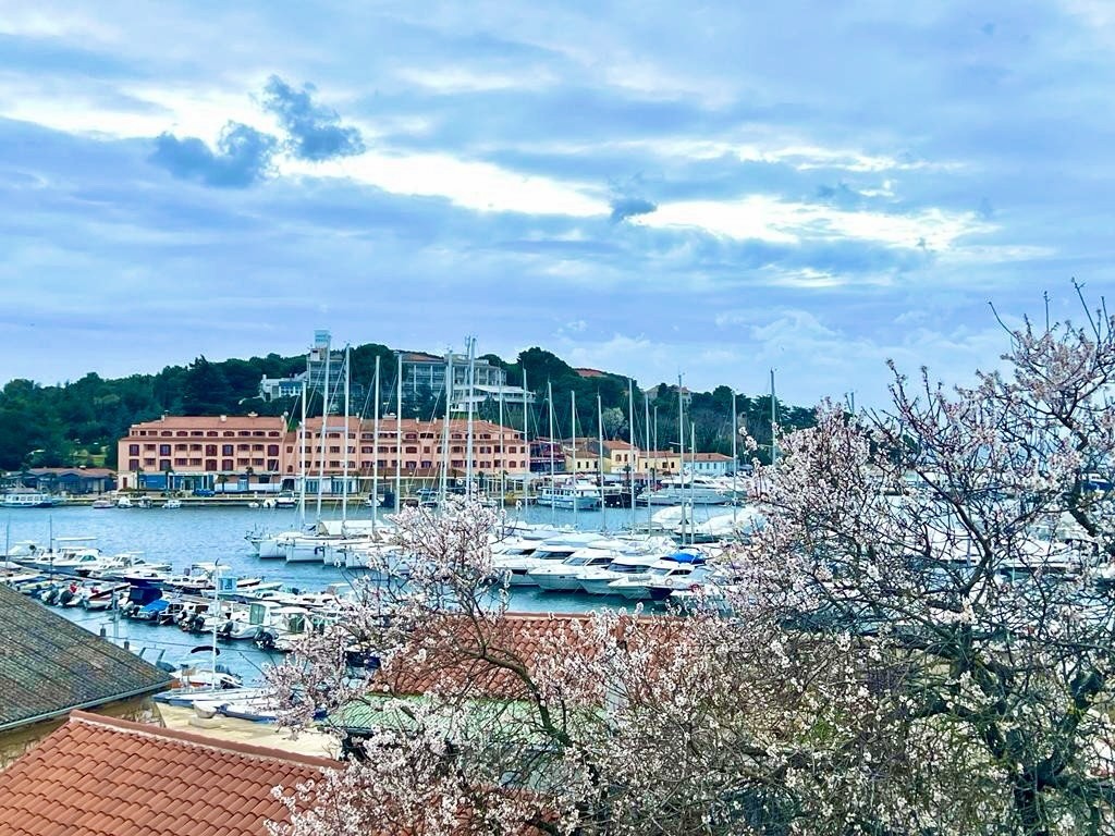 Bellissimo appartamento, situato in una posizione esclusiva vicino al porto turistico di Vrsar, Istria, Croazia