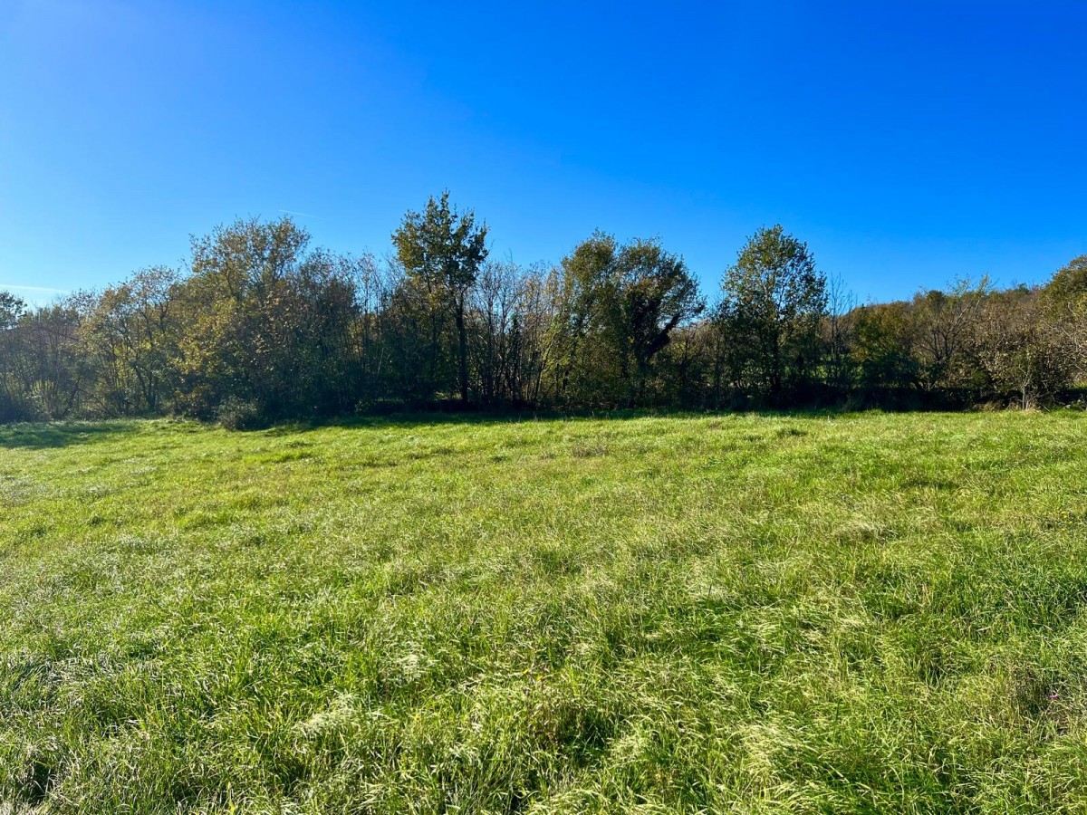 Ottimo terreno a Buzet, 5.384 m² lungo la strada, Istria, Croazia