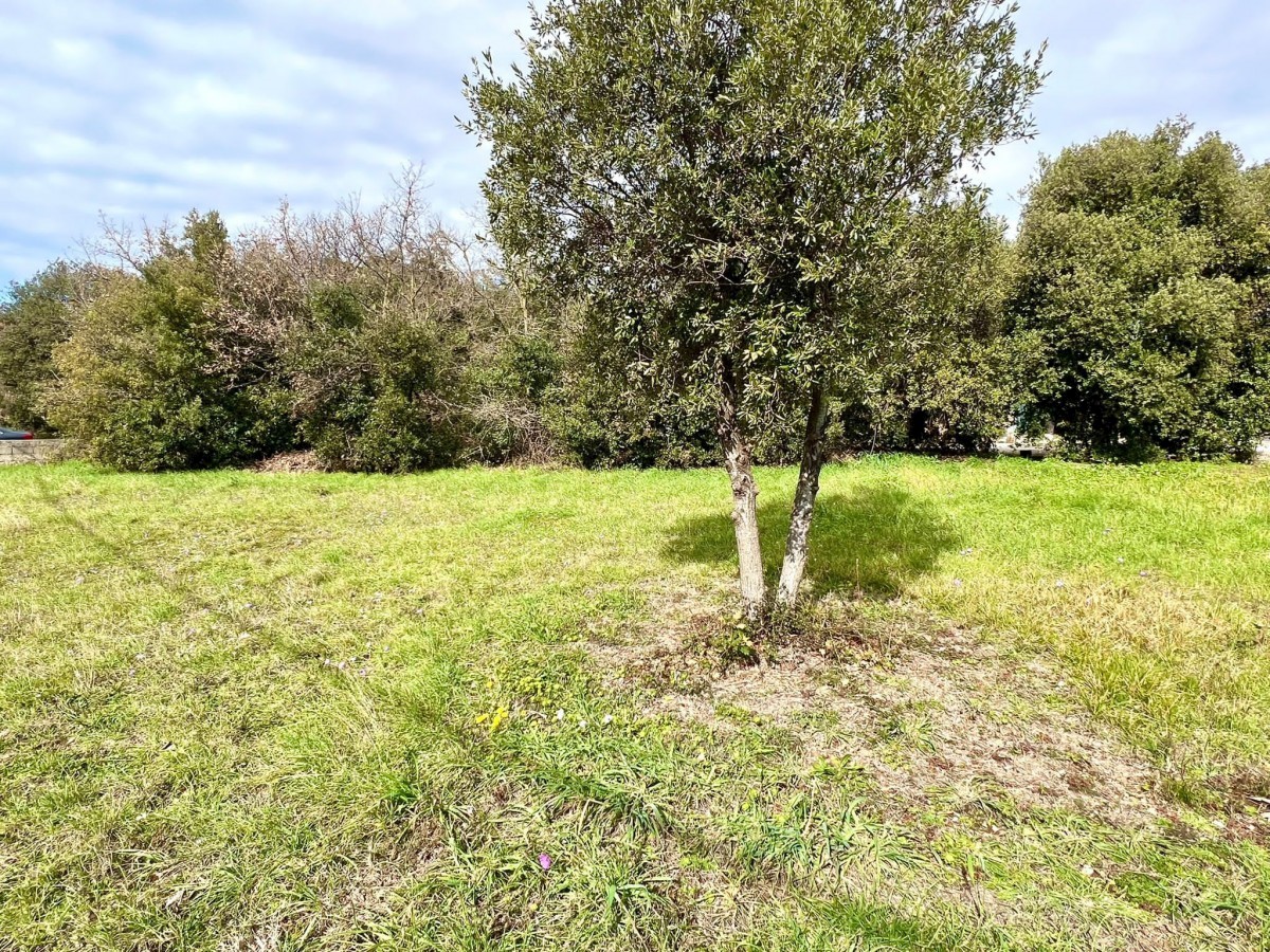 Terreno edificabile in una bella posizione a Pola, 1281 m2, Istria, Croazia