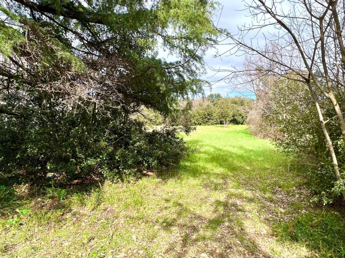 Terreno edificabile in una bella posizione a Pola, 1281 m2, Istria, Croazia