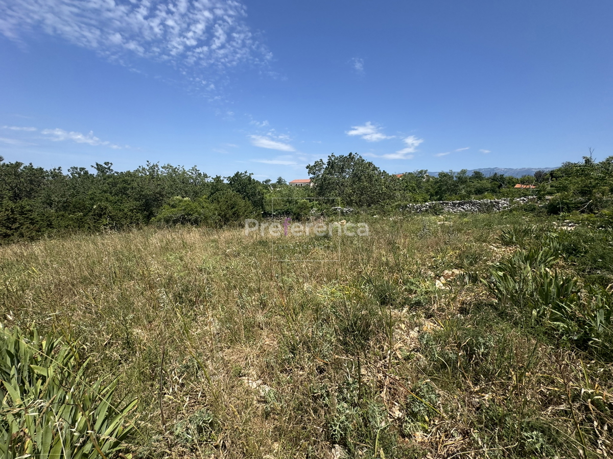 Dabovi stani, Novalja - terreno edificabile