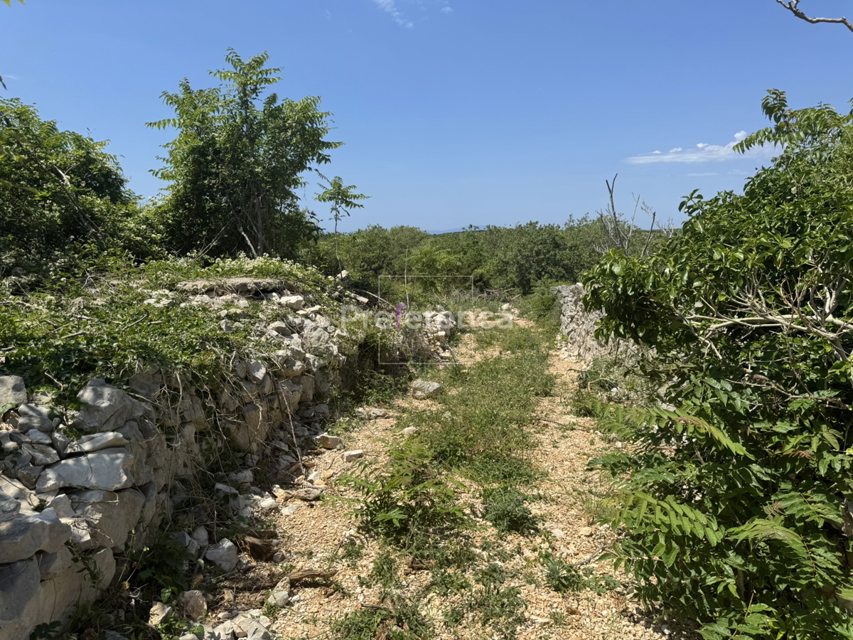 Dabovi stani, Novalja - terreno edificabile