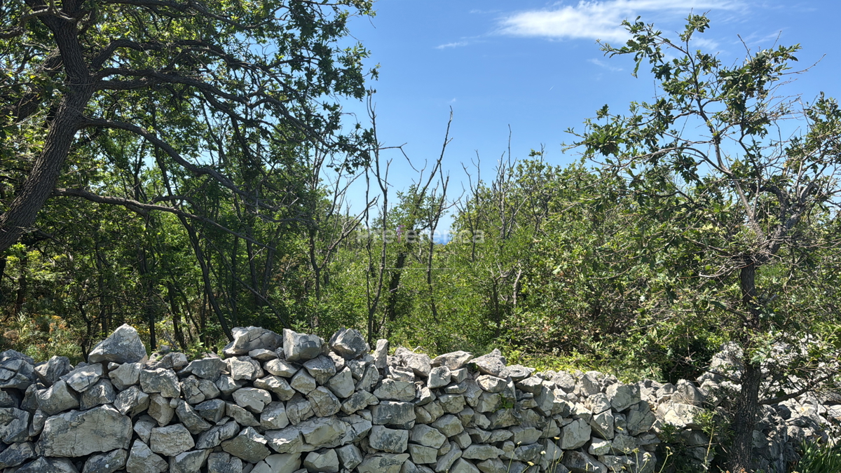 Dabovi stani, Novalja - terreno edificabile