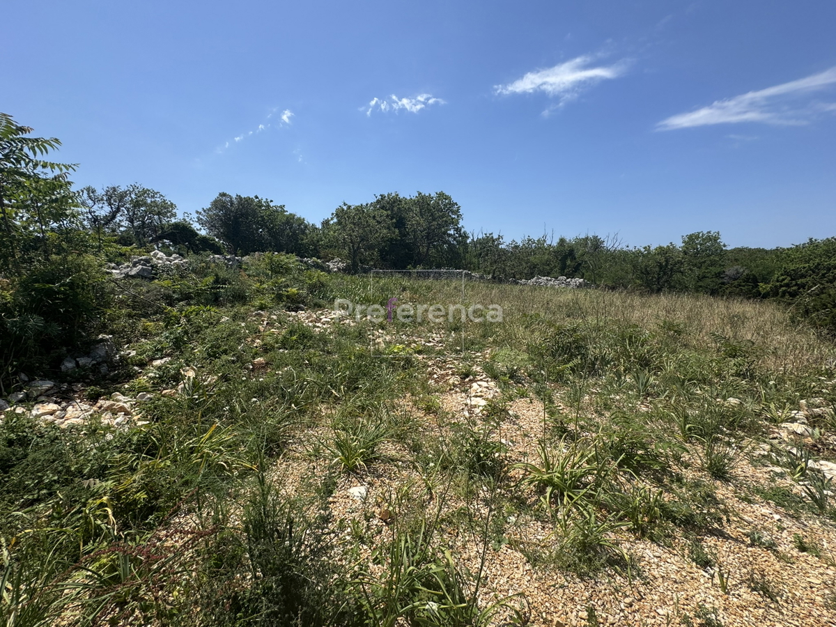 Dabovi stani, Novalja - terreno edificabile