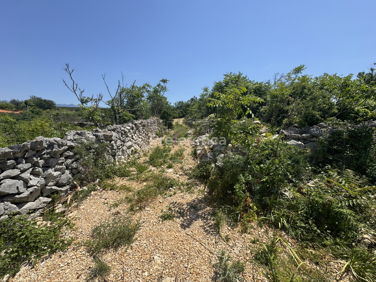 Dabovi stani, Novalja - terreno edificabile
