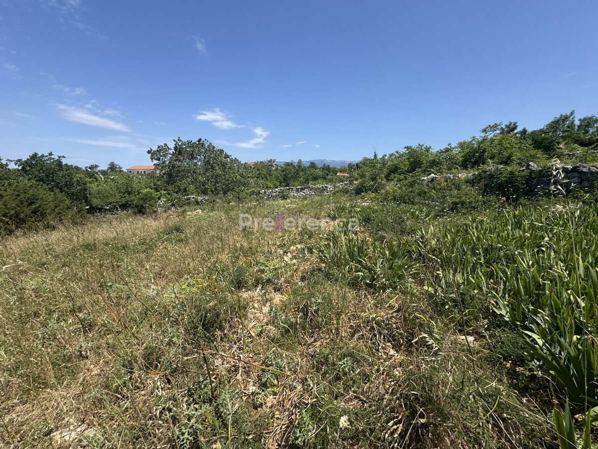 Dabovi stani, Novalja - terreno edificabile