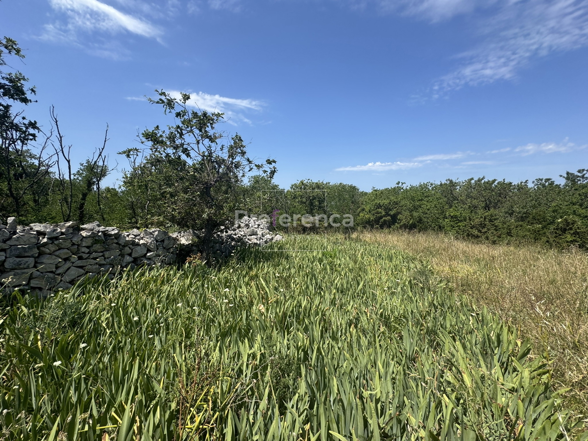 Dabovi stani, Novalja - terreno edificabile