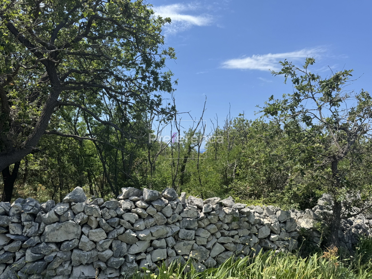 Dabovi stani, Novalja - terreno edificabile