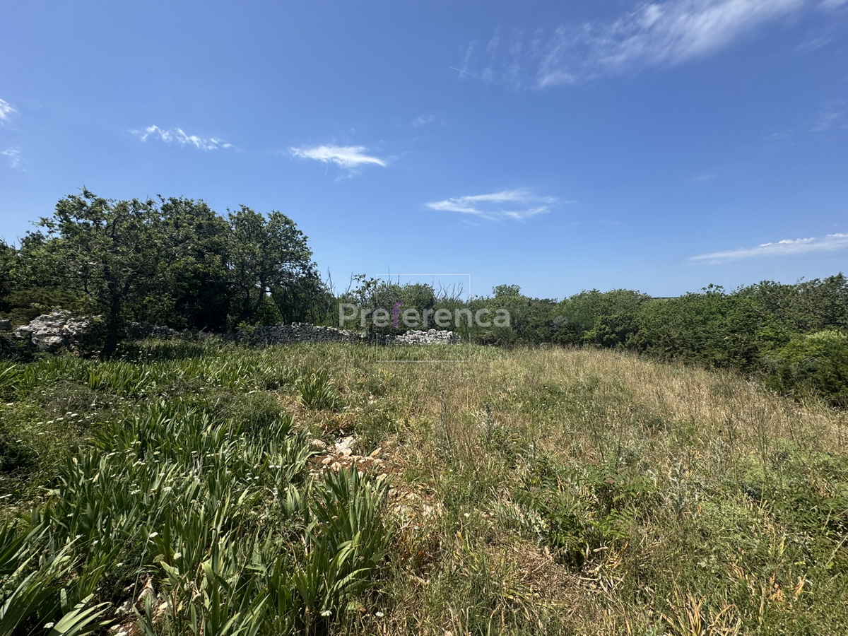 Dabovi stani, Novalja - terreno edificabile