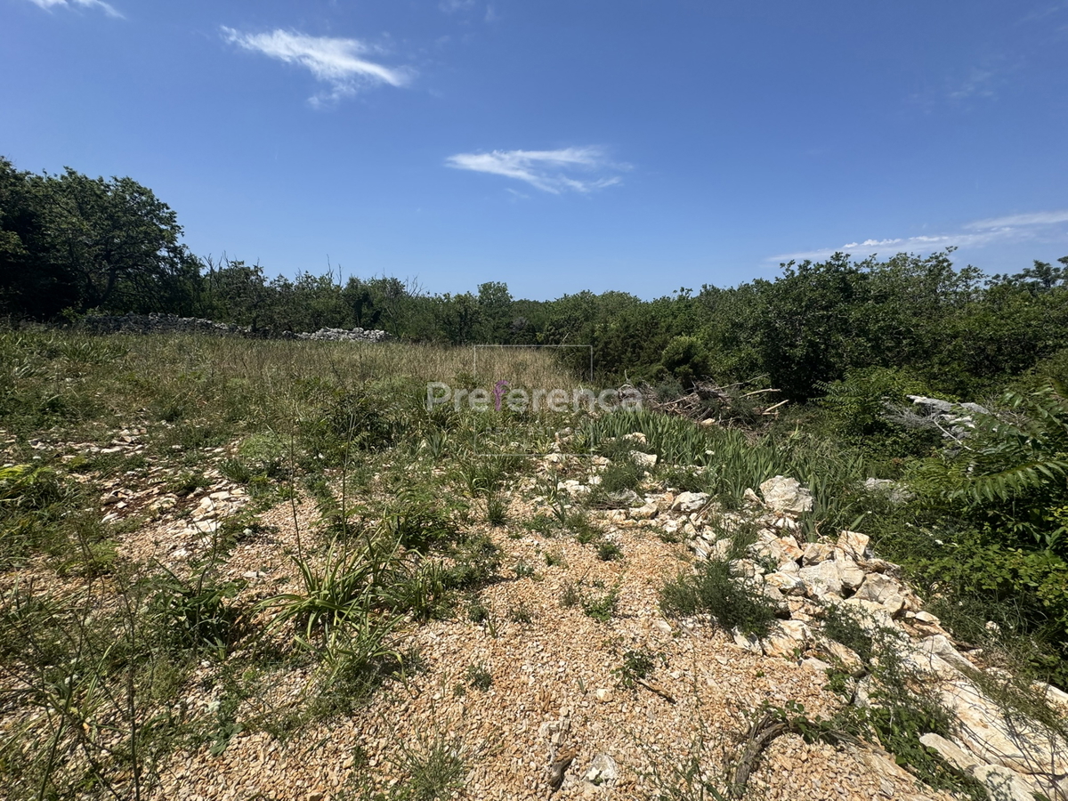 Dabovi stani, Novalja - terreno edificabile