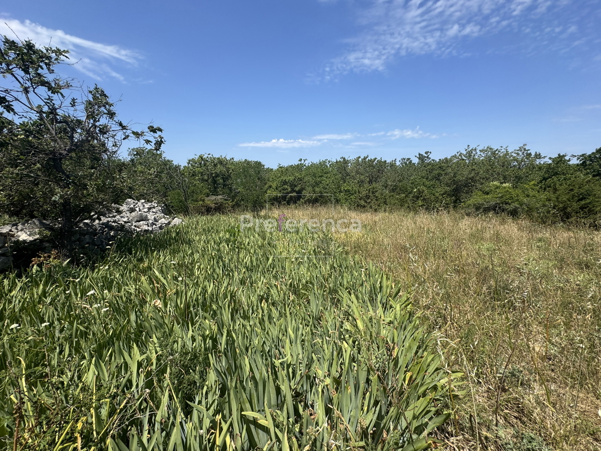 Dabovi stani, Novalja - terreno edificabile