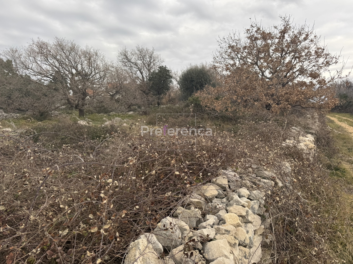 Novalja, Vidasovi stani - terreno edificabile