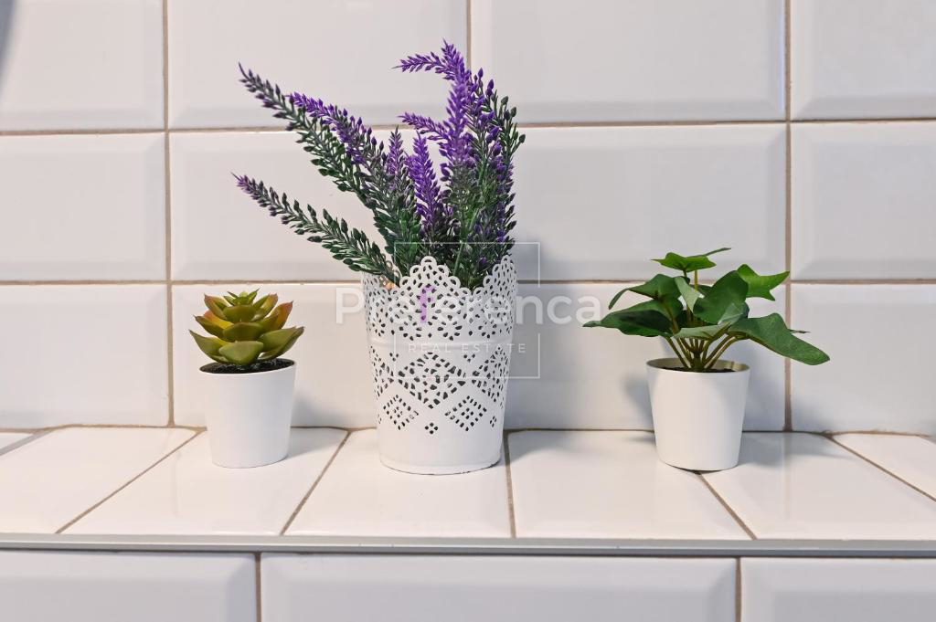 Dabovi stani, Novalja - villa con piscina + terreno con progetto