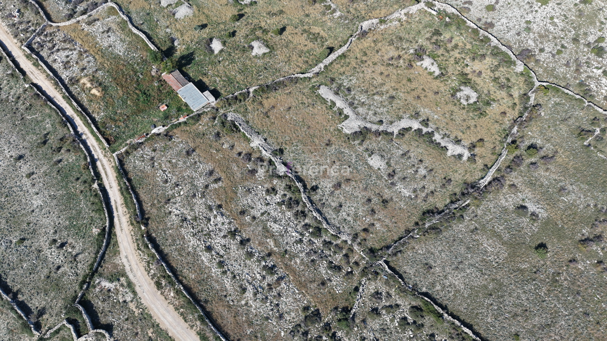 Povljana - terreno agricolo - SECONDA FILA