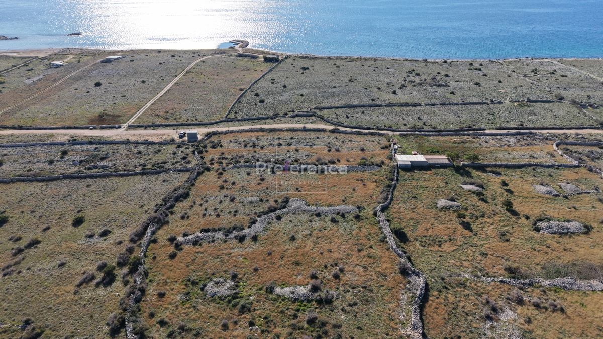 Povljana - terreno agricolo - SECONDA FILA