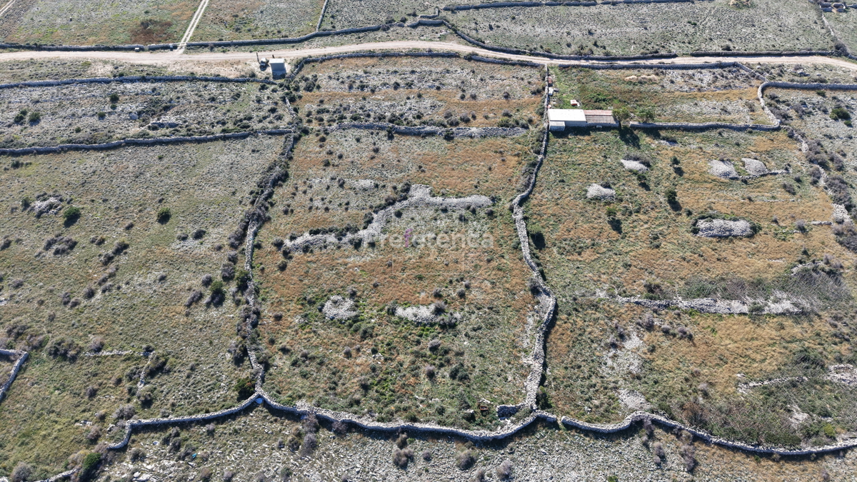Povljana - terreno agricolo - SECONDA FILA