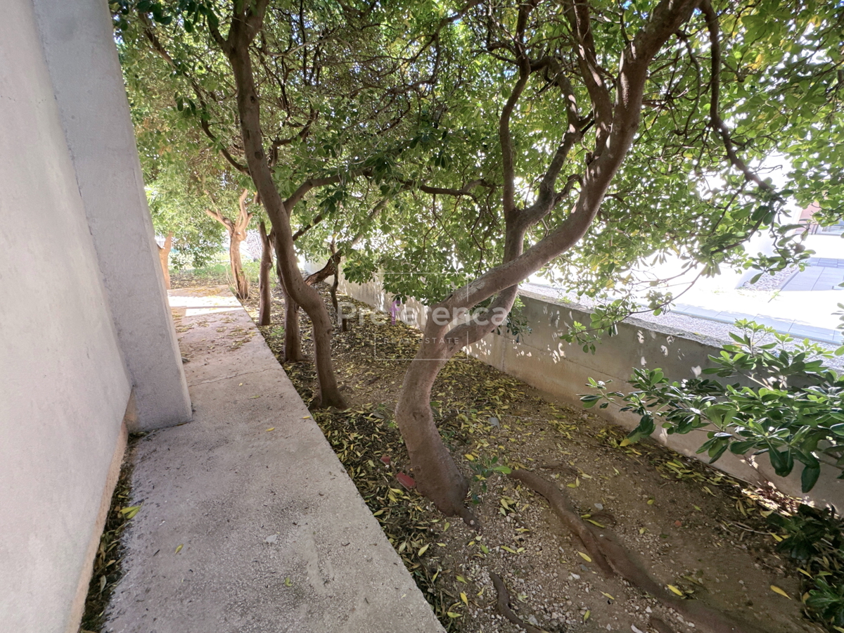 Pag – casa a piano terra su grande terreno, garage