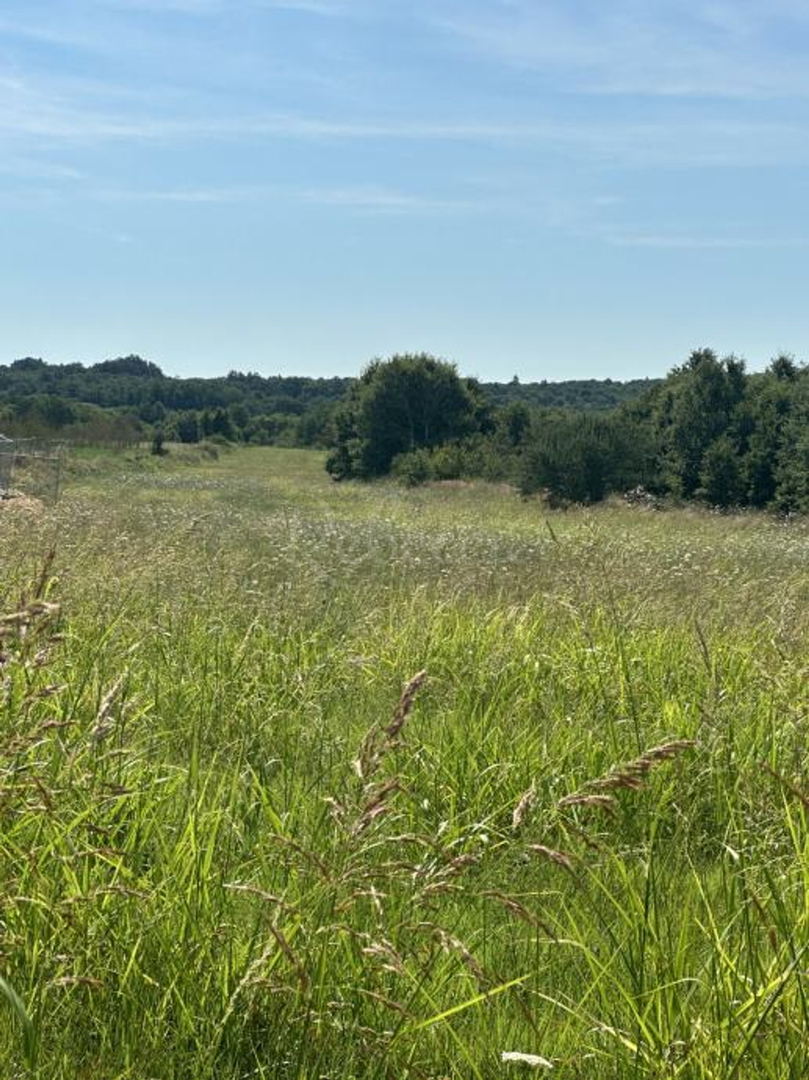 Building land, opportunity for investors, in the vicinity of Barban...