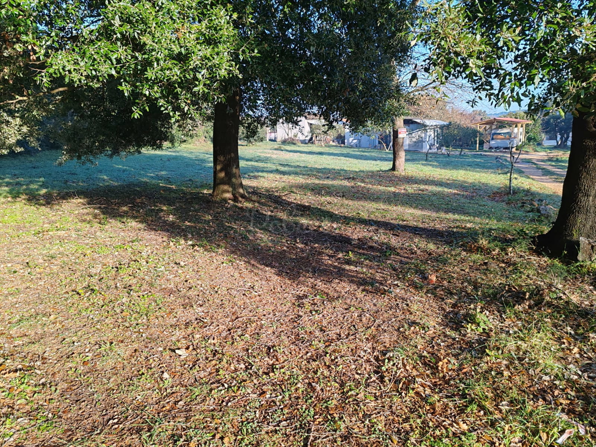 Terreno edificabile Ližnjan, 1100 m2