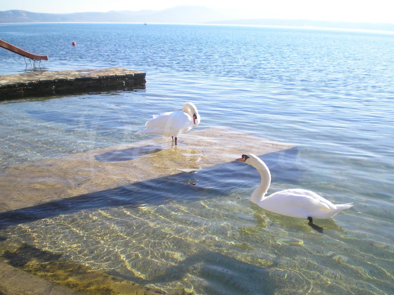 Posedarje, pensione con 10 appartamenti e piscina, seconda fila al mare!