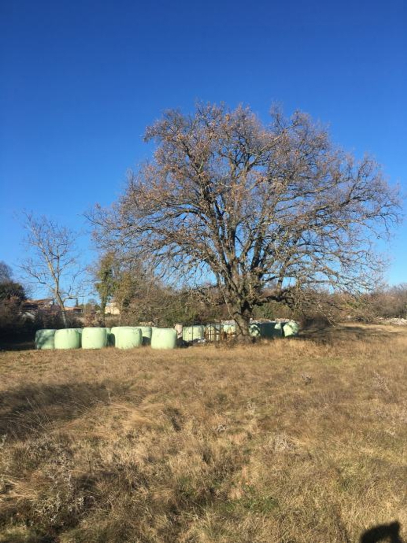 Terreno edificabile a Šajini