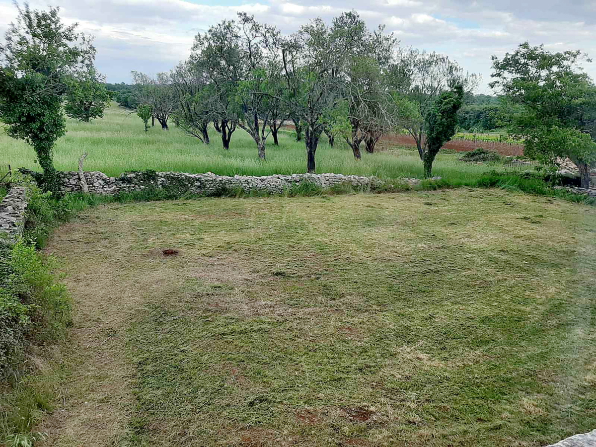 Canfanaro, Barat, casa in pietra d'Istria da ristrutturare