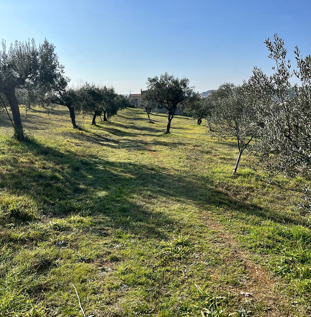 Istria, Pola, terreno residenziale e commerciale