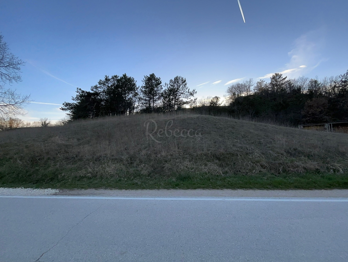 Ampio terreno edificabile a Gologorica