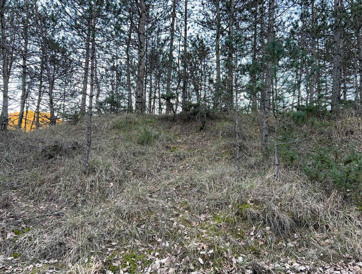 Ampio terreno edificabile a Gologorica