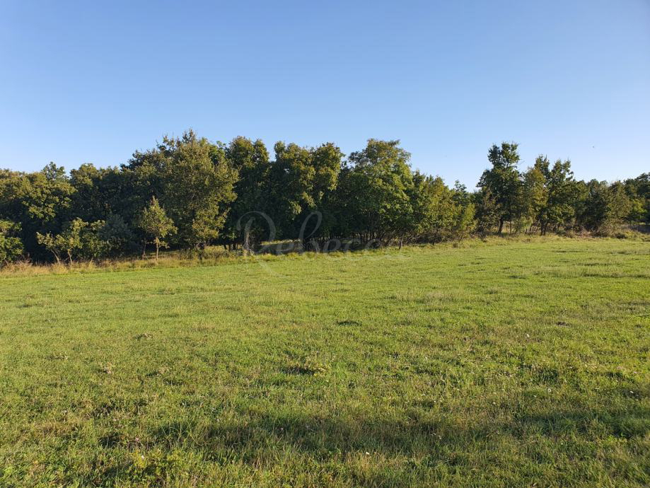 Terreno edificabile e agricolo, 7600 m2, vicino a Peruška