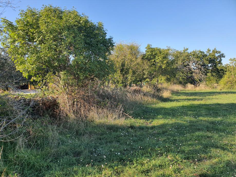 Terreno edificabile e agricolo, 7600 m2, vicino a Peruška