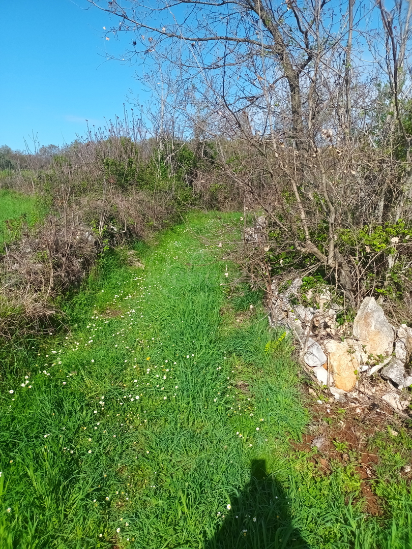 Terreno agricolo edificabile, 1967 m2 m2, Peruški