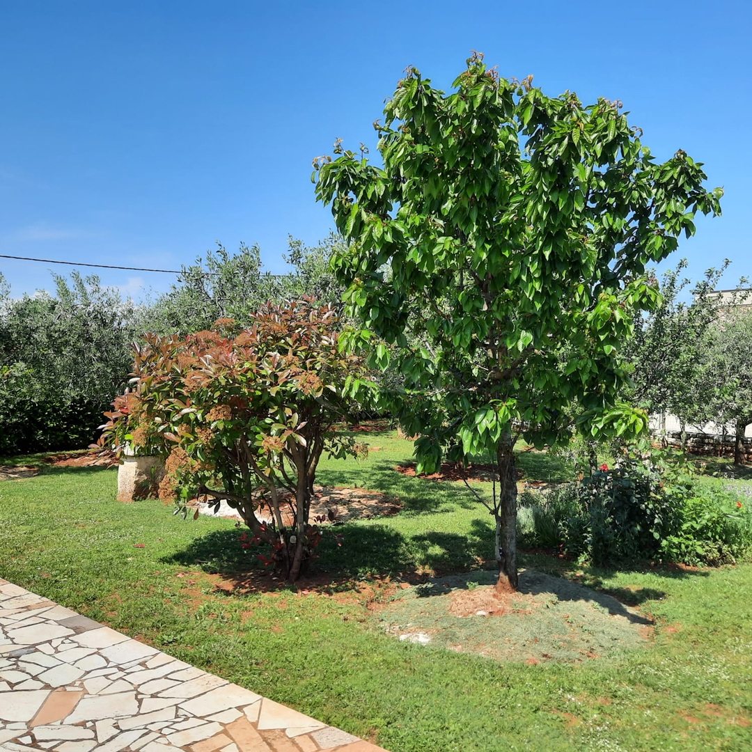 Casa indipendente, appartamento, garage, ampio giardino, zona di Duga Uvala