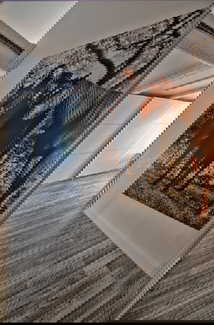 Pola: Appartamento unico sul lungomare con vista sul porto turistico