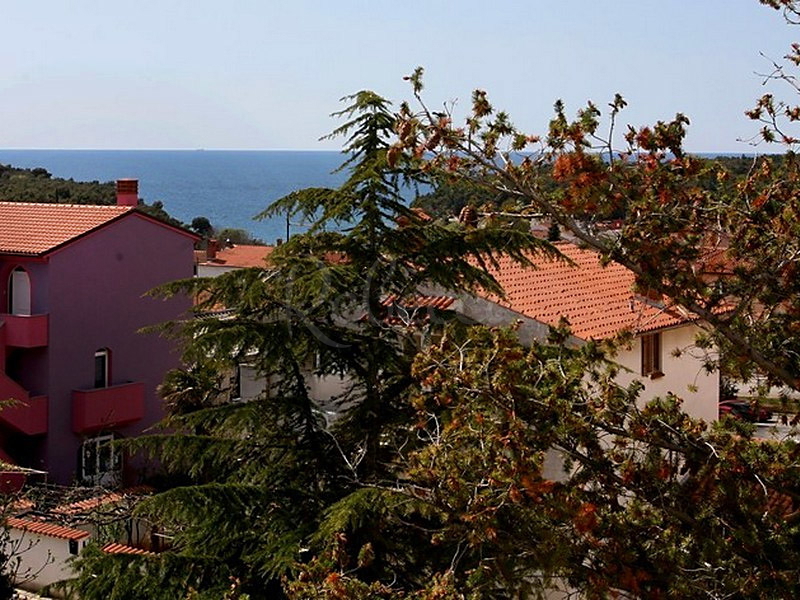 ISTRIA, PULA: VILLA DI LUSSO CON PISCINA E VISTA MARE