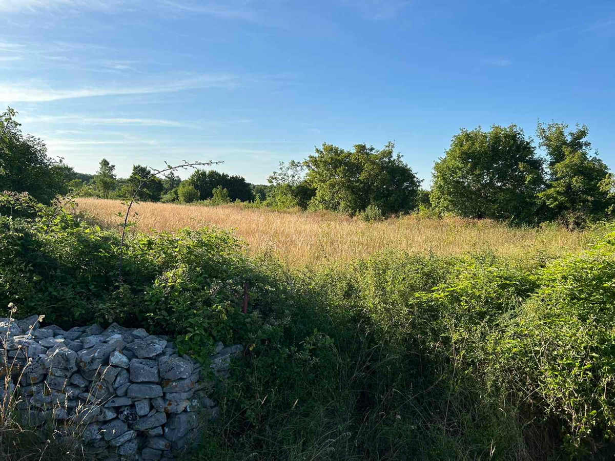 Terreno edificabile 1381 m2