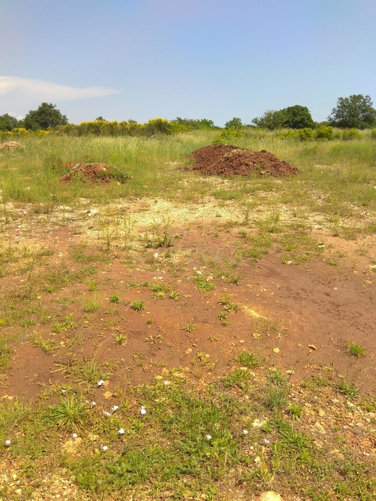 Terreno edificabile, 500 m dal mare, Medolino