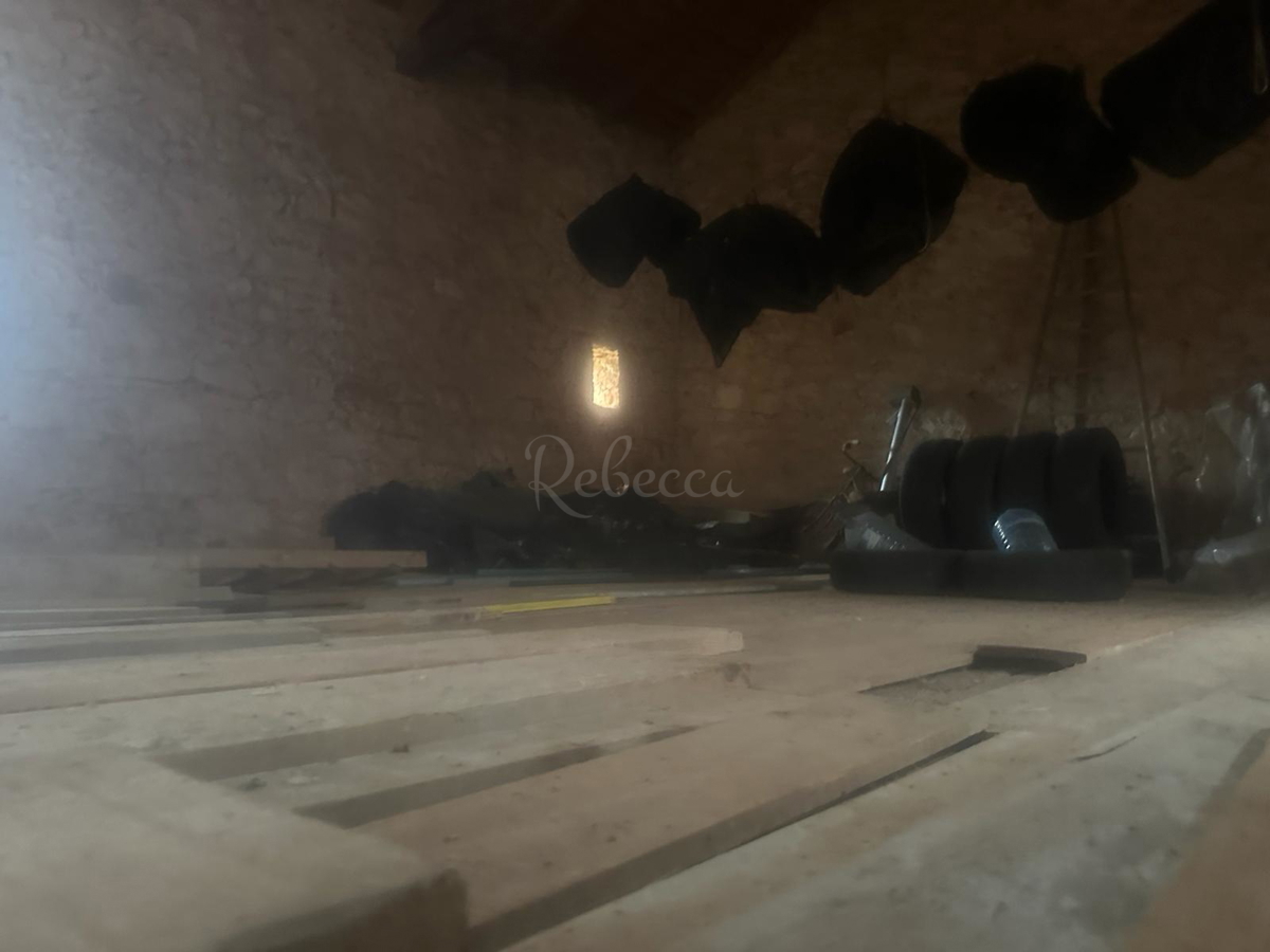 ISTRIA, BRTONIGLA, CASA IN PIETRA 260 M2, GIARDINO 427 M2, OCCASIONE!!