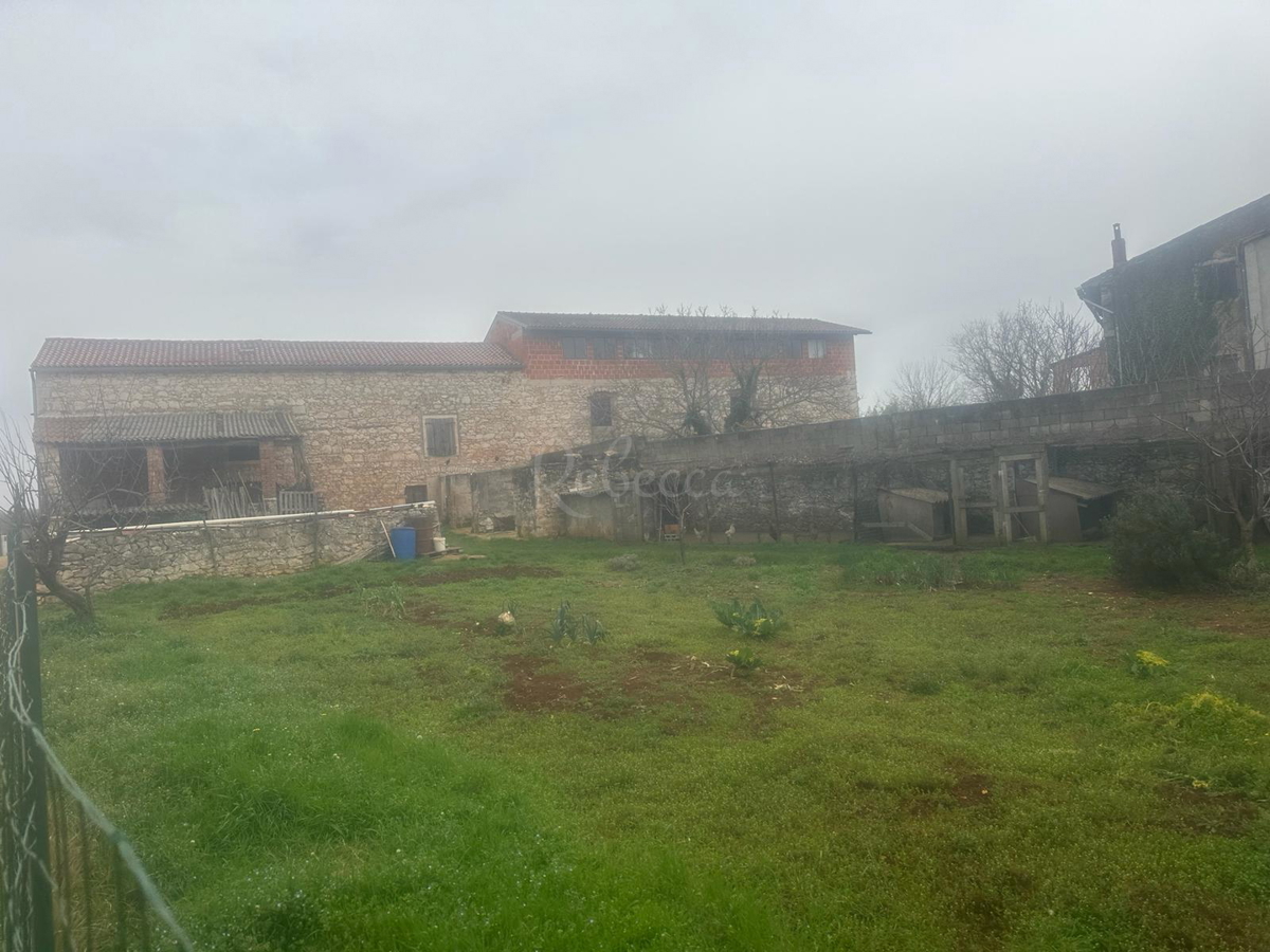 ISTRIA, BRTONIGLA, CASA IN PIETRA 260 M2, GIARDINO 427 M2, OCCASIONE!!