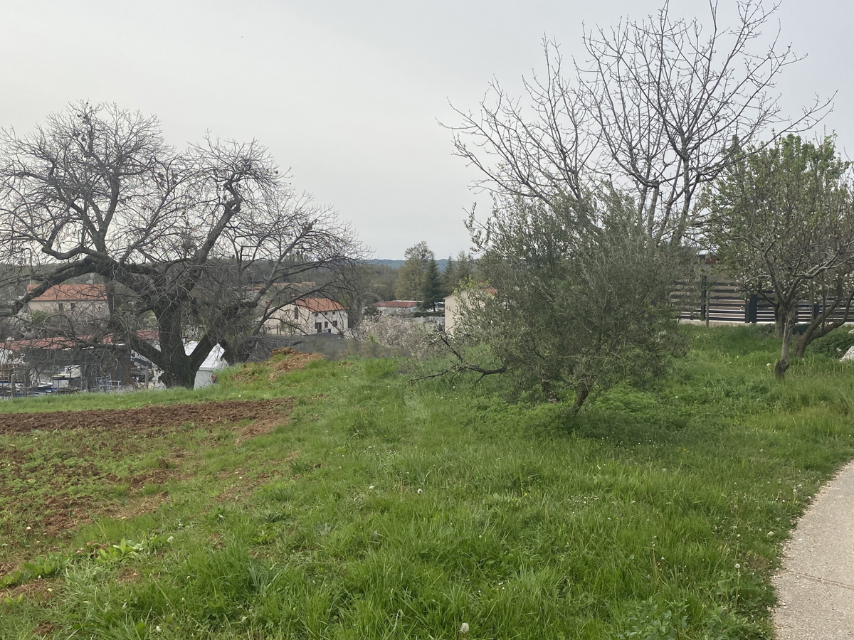 Terreno edificabile nel nuovo e tranquillo insediamento di Pazina