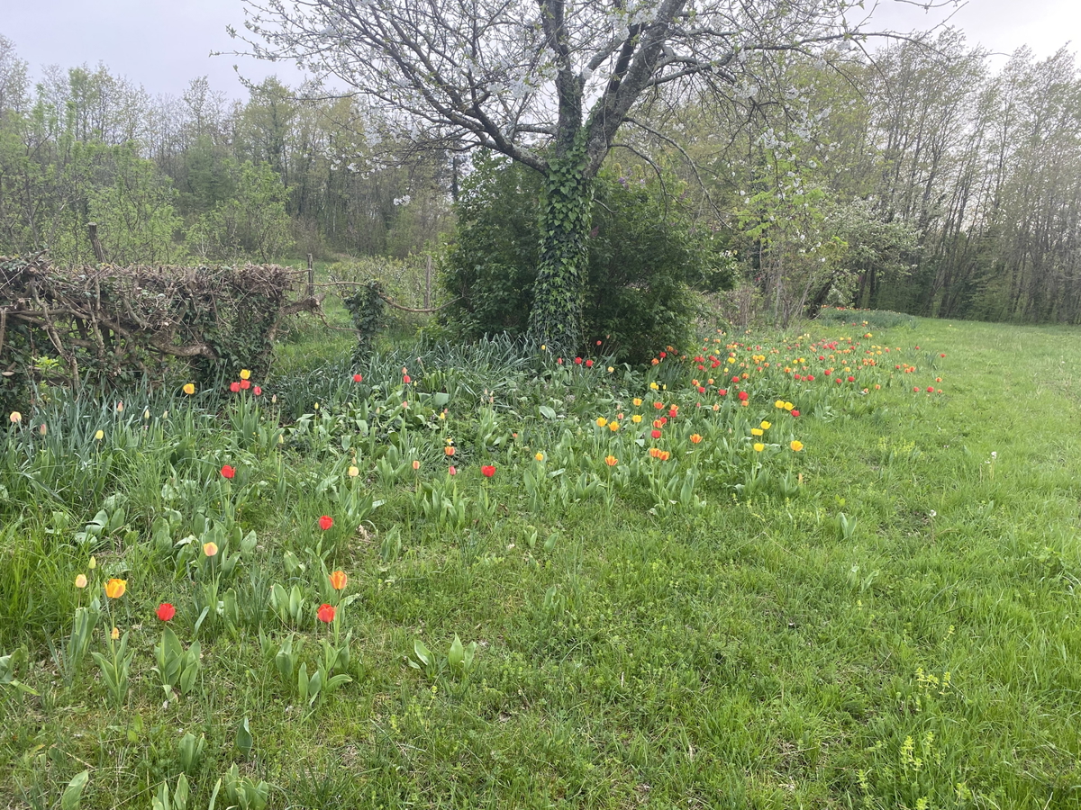 Terreno edificabile nel nuovo e tranquillo insediamento di Pazina