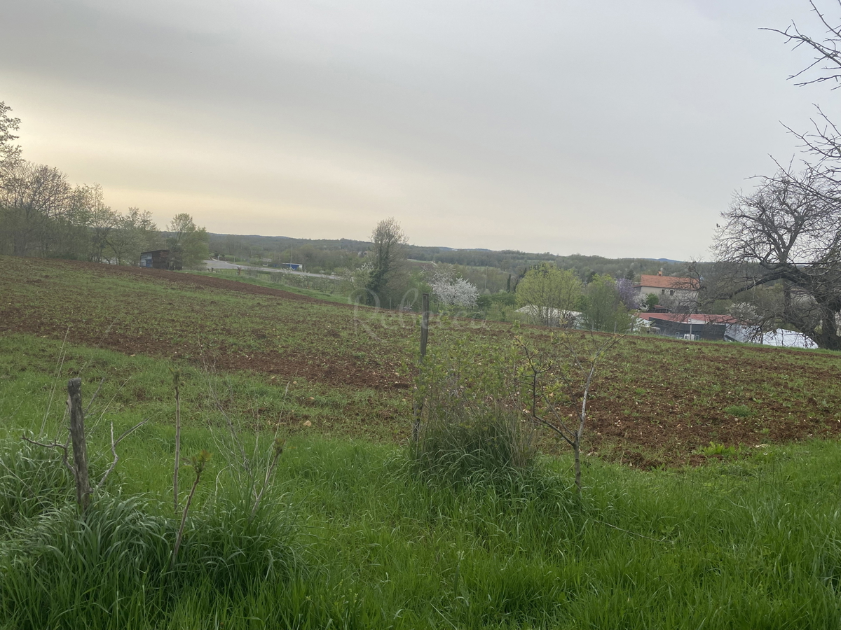 Terreno edificabile nel nuovo e tranquillo insediamento di Pazina