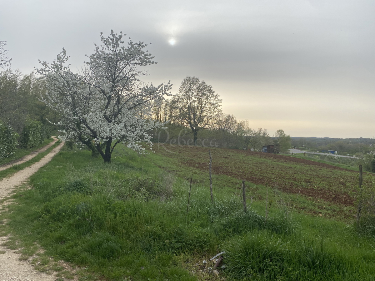 Terreno edificabile nel nuovo e tranquillo insediamento di Pazina