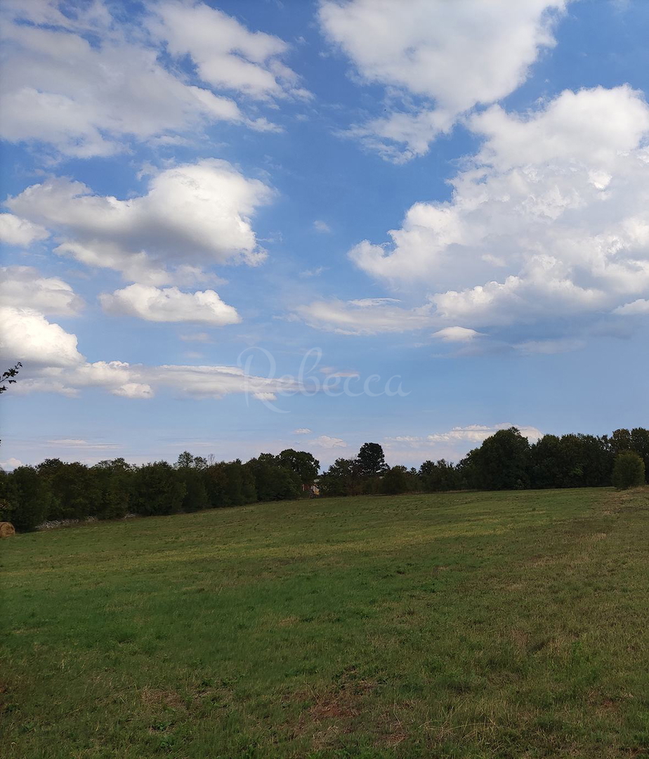 Terreno per costruzione e agricoltura, 9970 m2, Filipana