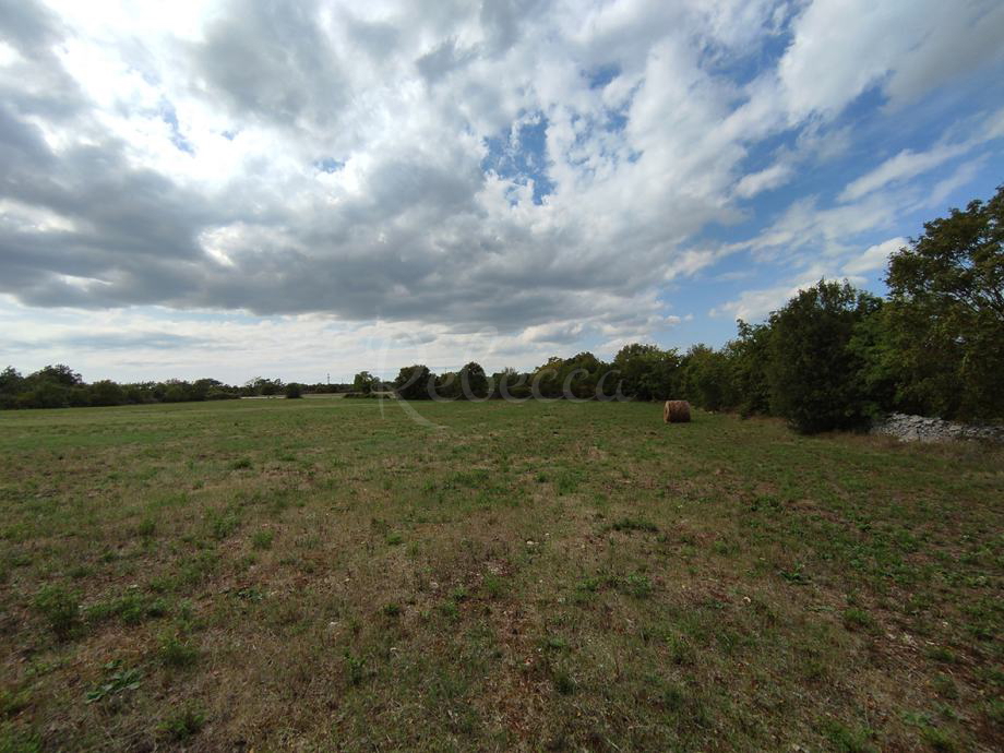 Terreno per costruzione e agricoltura, 9970 m2, Filipana