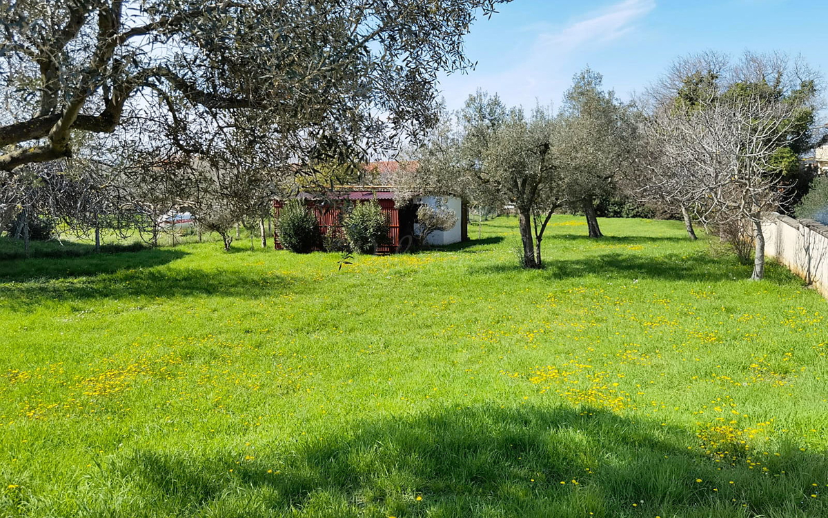 Medolino, terreno edificabile 1895 m2