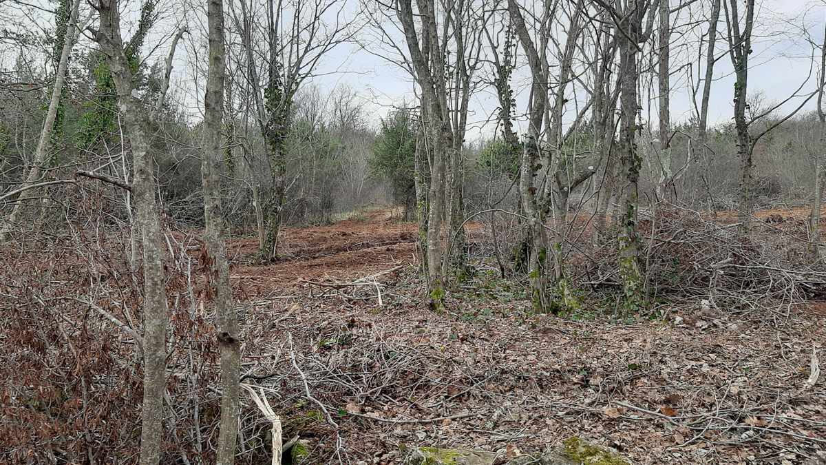 Terreno agricolo, 10240 m2, Rakalj