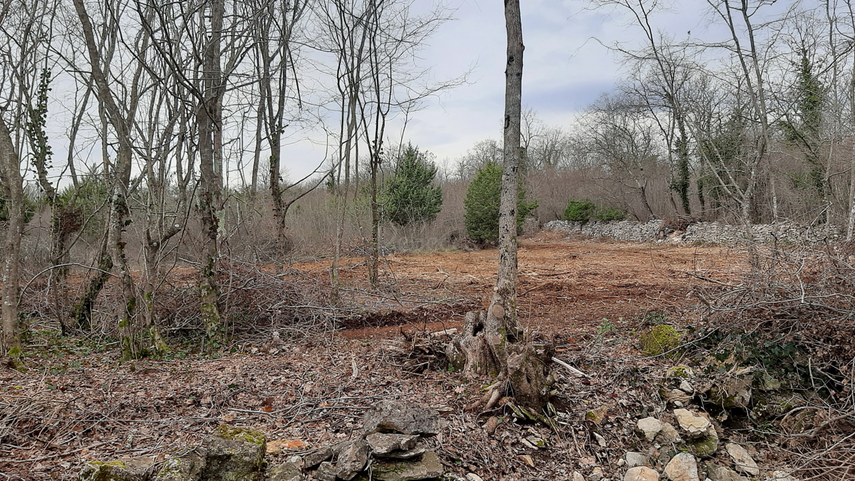 Terreno agricolo, 10240 m2, Rakalj