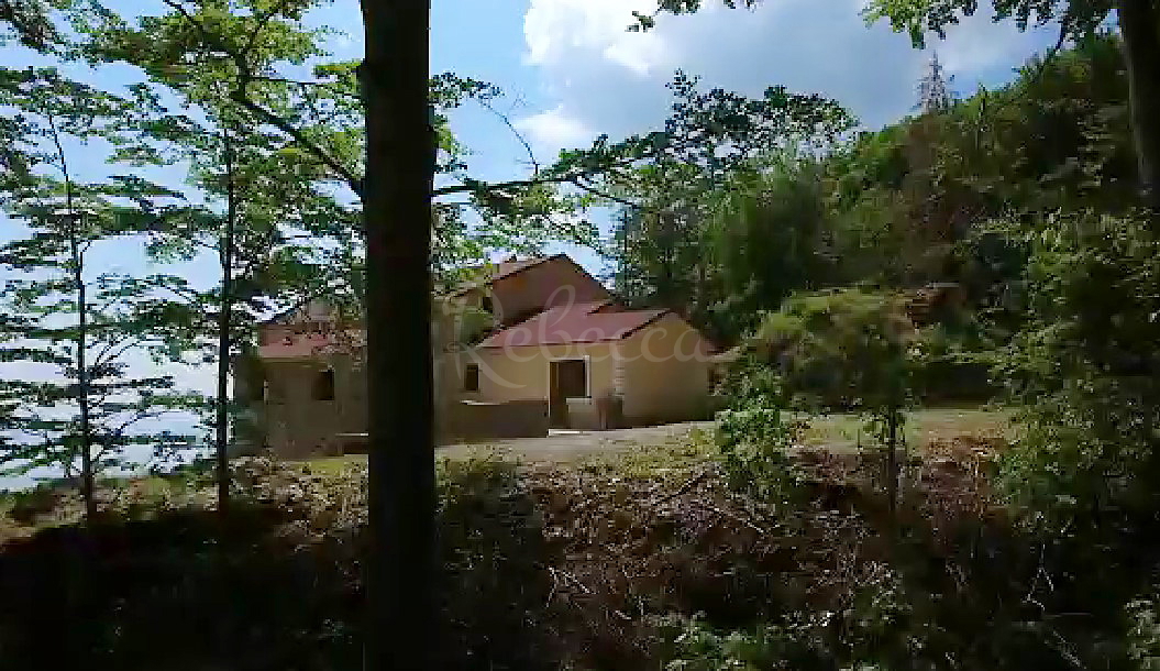 Bella casa nel Parco naturale del Monte Maggiore con vista sul mare